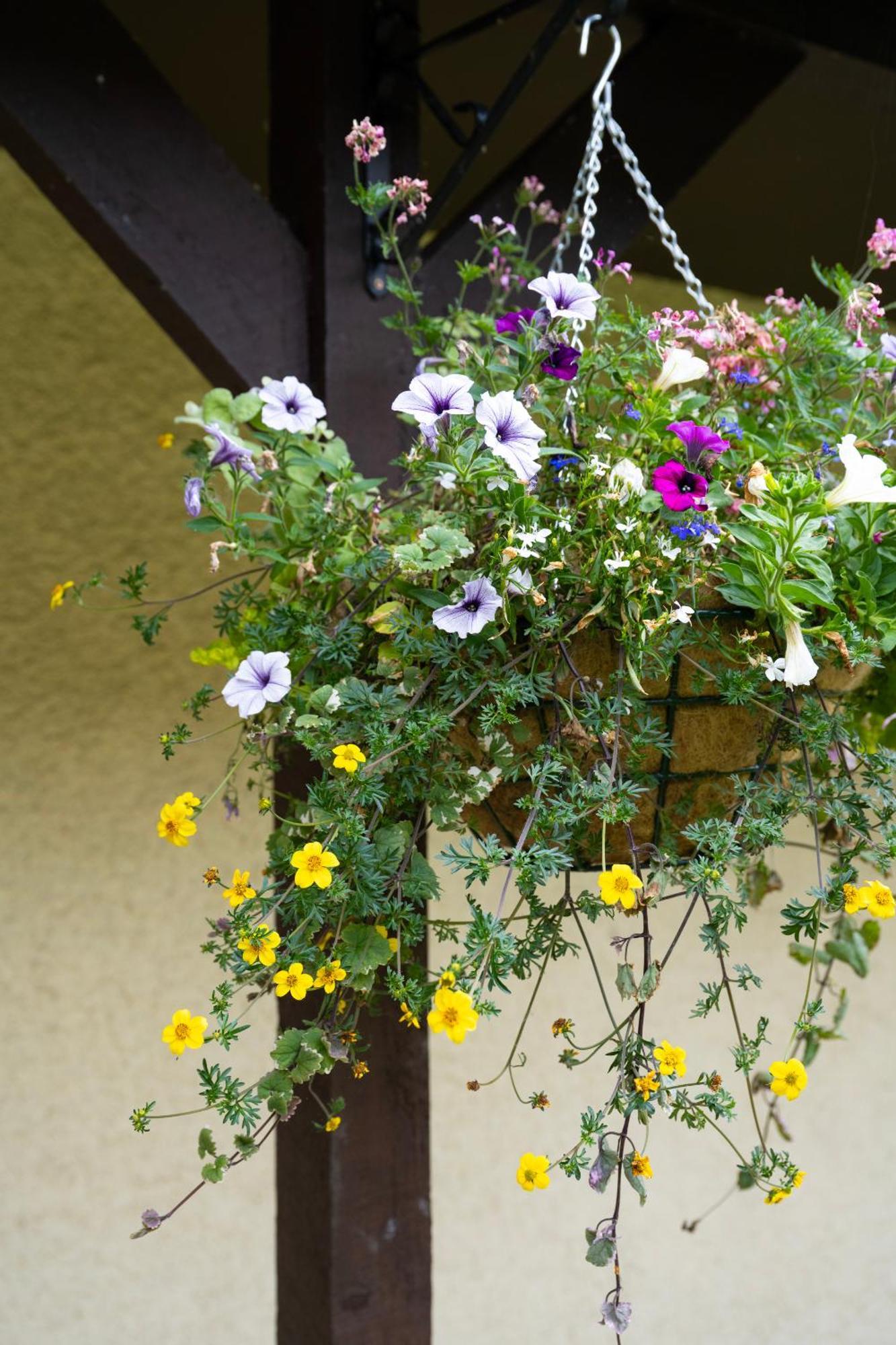Cricklade House Hotel, Sure Hotel Collection By Best Western Bagian luar foto